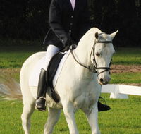 Encantador The Riding School - Renee