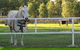 Townsville Agistment - thumb 0