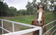 Townsville Agistment - thumb 2