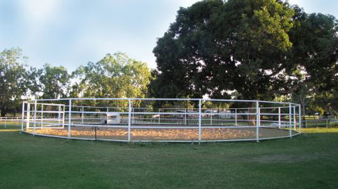 Townsville Agistment - Renee 3