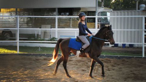 Townsville Agistment - Renee 4