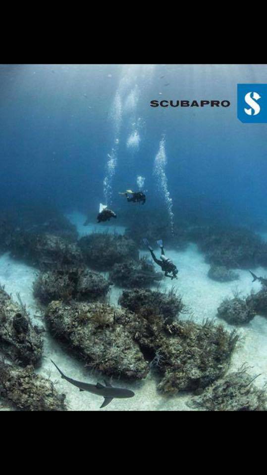 Diving Equipment Supplies Tweed Heads NSW Renee