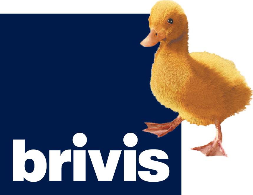 Electricians Inverell NSW Swimm