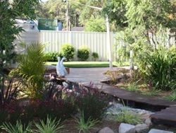 Cameron Park Early Learning Centre - Renee 2