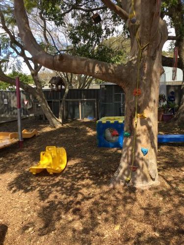 Cardiff Busy Bee Pre School - Qld Realsetate 2