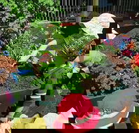 Noosaville Child Care  Preschool Centre - Internet Find