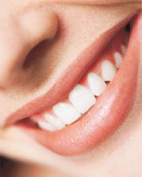 Future Dental - Renee 0
