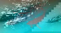 Ningaloo Lodge Exmouth