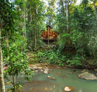 The Canopy Rainforest Treehouses and Wildlife Sanctuary - Internet Find