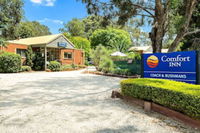 Comfort Inn Coach and Bushmans