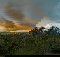 Ocean International - Renee