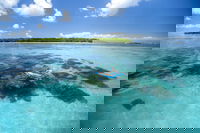 Business in Green Island QLD Renee Renee