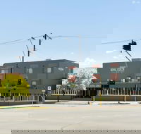 Adelaide Royal Coach - Swimm