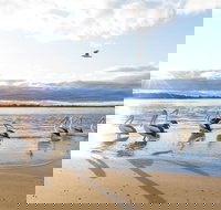 El Paso Motor Inn - Qld Realsetate