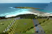 Diamond Island Resort  Bicheno Penguin Show