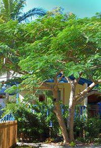 Amber Gardens Guesthouse