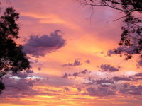 Business in Forbes NSW Internet Find Internet Find