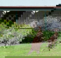 Cedar Lodge Cabins - Internet Find