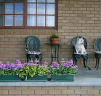 Cornwall Cottage - Renee