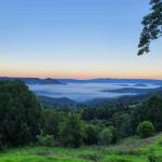 Business in Witta QLD Renee Renee