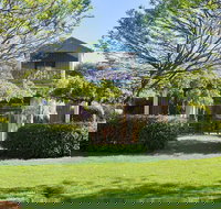 Tree Elle - Internet Find