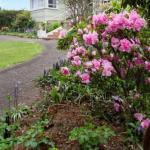 Anabels of Scottsdale