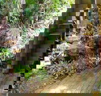 Rainforest Hideaway - Internet Find