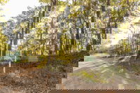 Business in Ringtail Creek QLD Renee Renee