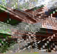 Barrington Wilderness Cedar Lodge Accommodation - Internet Find