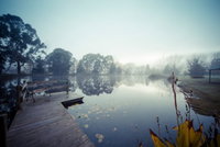 Sanctuary Park Cottages