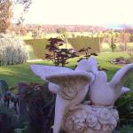 Torwood VIC Internet Find