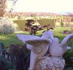 Springbank Bed  Breakfast - Internet Find