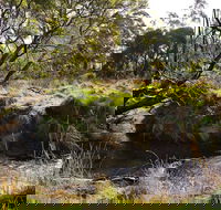 Green Gully House - Swimm