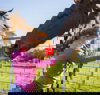 Freshwater Creek Cottages and Farm Stay - Qld Realsetate