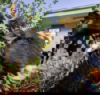 Big4 Shepparton Park Lane - Renee