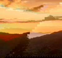 Cooroy Country Cottages - Swimm