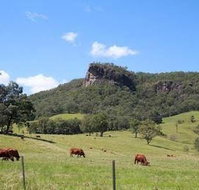 Rosevale House - Qld Realsetate