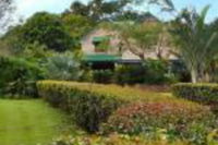 Peppertree Cottage