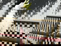 Kurrara Historic Guest House