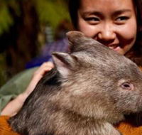 Fauna Australia Wildlife Retreat - Renee