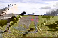 Taras Richmond Farmstay