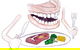 Dannalee’s Mobile Denture Service - thumb 0