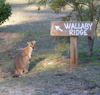 Wallaby Ridge Retreat - Internet Find