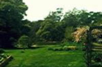 Birdwing Bed  Breakfast Weegena