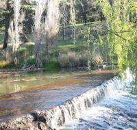 Avocados Accommodation - Renee