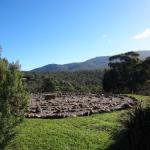 Bornes Hill ACT Qld Realsetate