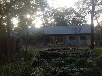Willsons Downfall NSW Internet Find