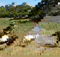 Country Cottages of Bridgetown - Renee