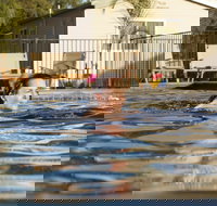 Riverside Cabin Park - Renee