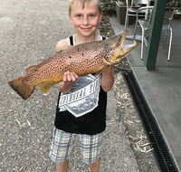 Eildon Pondage Holiday Park - Internet Find